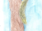 Constanza
