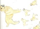 Hondjes