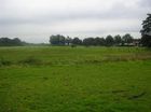 Paardendief!