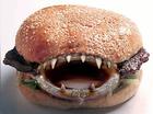 Cake&hamburger