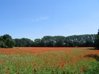 staan en gaan