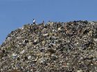 recyclen_moller