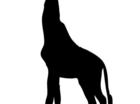 Kleine giraffe